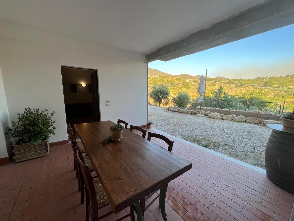 La Casa Di Demetra. Un Paradiso Tra Gli Olivi. Montecchio Kültér fotó